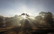   Winter Sunrise  